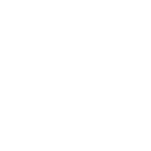100% Ayurvedic